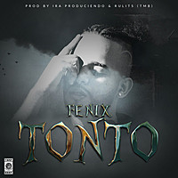 Thumbnail for the Fenix - Tonto link, provided by host site