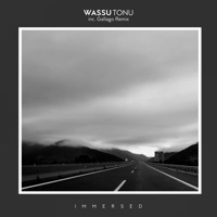 Thumbnail for the Wassu - Tonu (Extended Mix) link, provided by host site