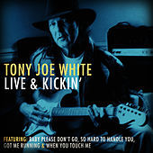 Image of Tony Joe White linking to their artist page due to link from them being at the top of the main table on this page