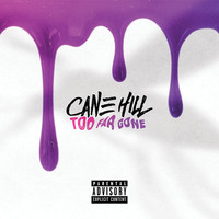Thumbnail for the Cane Hill - Too Far Gone link, provided by host site