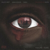 Thumbnail for the V Don - Too Late 4 Tears link, provided by host site
