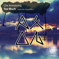 Image of Che Armstrong linking to their artist page due to link from them being at the top of the main table on this page