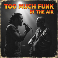 Thumbnail for the Luna - Too Much Funk in the Air link, provided by host site