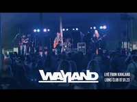 Thumbnail for the Wayland - Too Soon To Say Goodbye Live From Kirkland Lions Club link, provided by host site