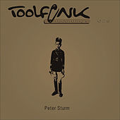 Thumbnail for the Peter Sturm - Toolfunk-Recordings028 link, provided by host site