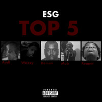 Thumbnail for the ESG - TOP 5 link, provided by host site