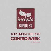 Thumbnail for the Controlwerk - Top from the Top: Controlwerk link, provided by host site