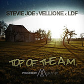 Thumbnail for the Stevie Joe - Top of the A.M link, provided by host site