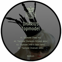 Thumbnail for the Dharius - Topmodel link, provided by host site