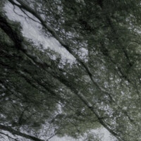 Thumbnail for the Red Hands - Tops of the Trees link, provided by host site