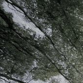 Thumbnail for the Red Hands - Tops of the Trees link, provided by host site