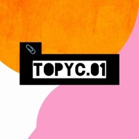 Thumbnail for the Issues - Topyc.01 link, provided by host site