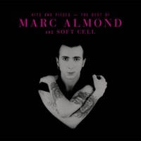 Thumbnail for the Soft Cell - Torch (7" Single Version) link, provided by host site