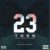 Thumbnail for the 23 Unofficial - Torn link, provided by host site