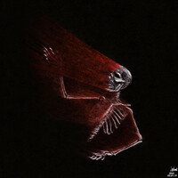 Thumbnail for the Lund - Torn link, provided by host site