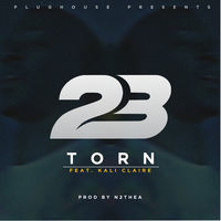 Thumbnail for the 23 Unofficial - Torn link, provided by host site