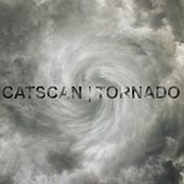 Image of Catscan linking to their artist page due to link from them being at the top of the main table on this page