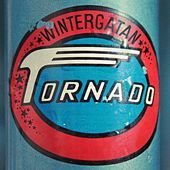 Thumbnail for the Wintergatan - Tornado link, provided by host site
