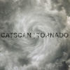 Thumbnail for the Catscan - Tornado link, provided by host site