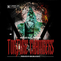 Thumbnail for the Recognize Ali - Torture Chambers link, provided by host site