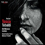 Thumbnail for the Fernando Corena - Tosca, Act I: Act I: Sommo giubilo, Eccellenza! (Sagrestano) link, provided by host site