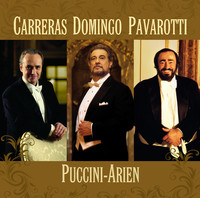 Thumbnail for the José Carreras - Tosca: E lucevan le stelle link, provided by host site