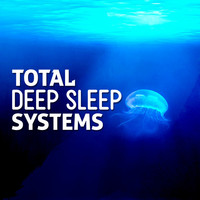 Thumbnail for the Deep Sleep Systems - Total Deep Sleep Systems link, provided by host site