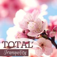 Thumbnail for the Sleep Music System - Total Tranquility - Healing Sounds, Delta Waves for Sleep Stimulation, Sleeping System link, provided by host site