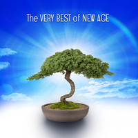 Thumbnail for the Medwyn Goodall - Totem link, provided by host site