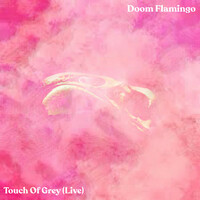 Thumbnail for the Doom Flamingo - Touch of Grey link, provided by host site