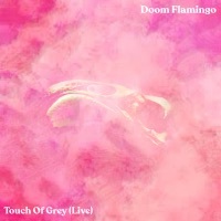 Thumbnail for the Doom Flamingo - Touch of Grey link, provided by host site