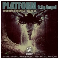 Thumbnail for the Platform - Touching Darkness / Wake Up link, provided by host site