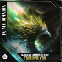 Thumbnail for the Orjan Nilsen - Touching You (TLUXX Remix) link, provided by host site