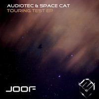 Thumbnail for the Audiotec - Touring Test link, provided by host site