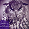 Image of Jay Cee linking to their artist page due to link from them being at the top of the main table on this page