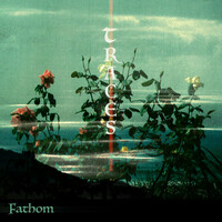 Thumbnail for the Fathom - Traces link, provided by host site