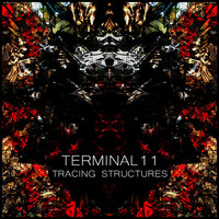 Thumbnail for the Terminal 11 - Tracing Structures link, provided by host site