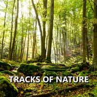 Thumbnail for the Tracks of Nature - Tracks of Nature link, provided by host site