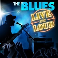 Thumbnail for the Lonnie Brooks - Trading Post link, provided by host site