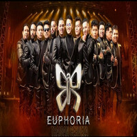 Thumbnail for the Euphoria - Traigan Cerveza link, provided by host site