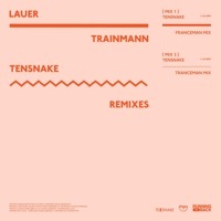 Thumbnail for the Lauer - Trainmann (Tensnake Tranceman Mix) link, provided by host site