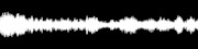 Thumbnail for the Mike Watt - Tramp's link, provided by host site
