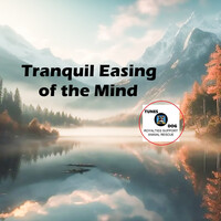 Thumbnail for the The Sound - Tranquil Easing of the Mind link, provided by host site