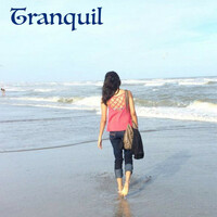 Thumbnail for the Sunitha - Tranquil link, provided by host site