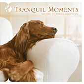 Thumbnail for the Michael Maxwell - Tranquil Moments link, provided by host site