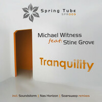 Thumbnail for the Michael Witness - Tranquility link, provided by host site