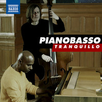 Thumbnail for the PianoBasso - Tranquillo link, provided by host site