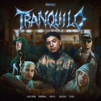 Thumbnail for the Farruko - Tranquilo (Remix Oficial) link, provided by host site