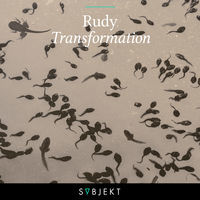 Thumbnail for the Rudy - Transformation link, provided by host site