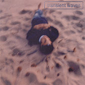 Thumbnail for the Transient Waves - Transient Waves link, provided by host site